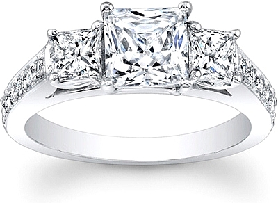 this image shows the setting with a 100ct princess cut center diamond the setting - Princess Cut Diamond Wedding Rings this image shows the setting with a 100ct princess cut center diamond the setting - Princess Cut Diamond Wedding Rings