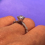 This image shows the setting with a 1.00ct round brilliant cut diamond.
