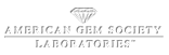 AGS Logo