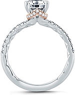 This image shows the setting with a 1.00ct round brilliant cut center diamond. The setting can be ordered to accommodate any shape/size diamond listed in the setting details section below.
