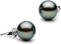 Pair of 8.0-9-0mm Tahitian Pearl Stud Earrings