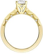 This image shows the setting with a 1.00ct princess cut center diamond. The setting can be ordered to accommodate any shape/size diamond listed in the setting details section below.