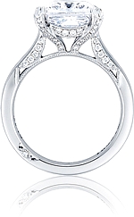 This image shows the setting with a 3.00ct princess cut center diamond. The setting can be ordered to accommodate any shape/size diamond listed in the setting details section below.